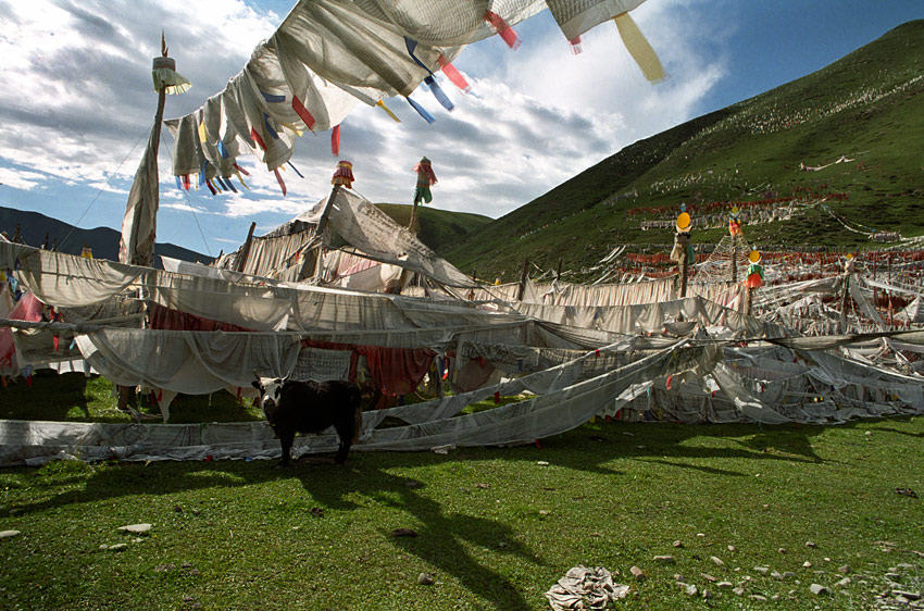 prayerflags.jpg