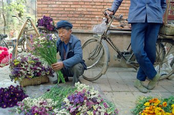 Flower Vendor, Kunming