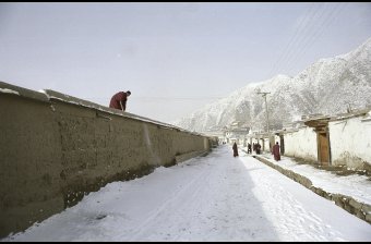 Snowy Morning