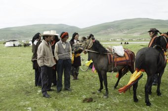 Inspecting Horses