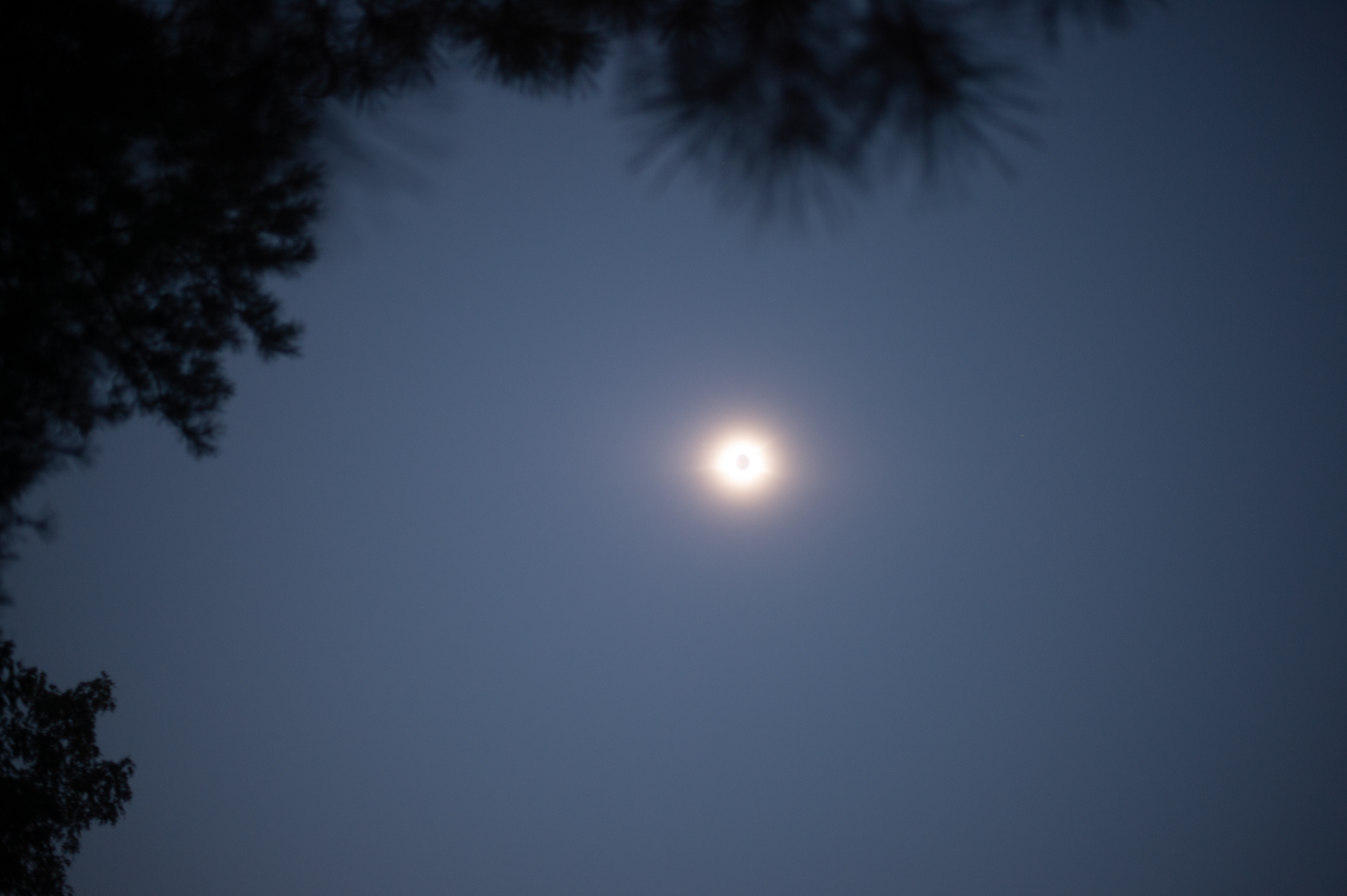 DSC_4048