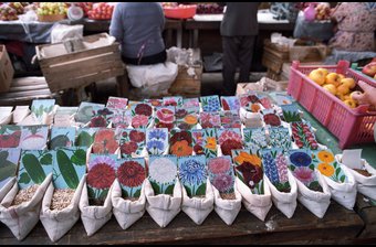 Seed Stand 2