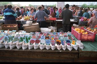 Seed Stand