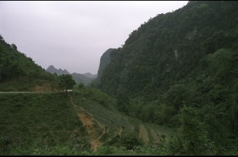 Phong Nậm Valley 2