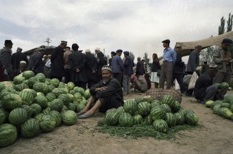 Hami Watermelon Man