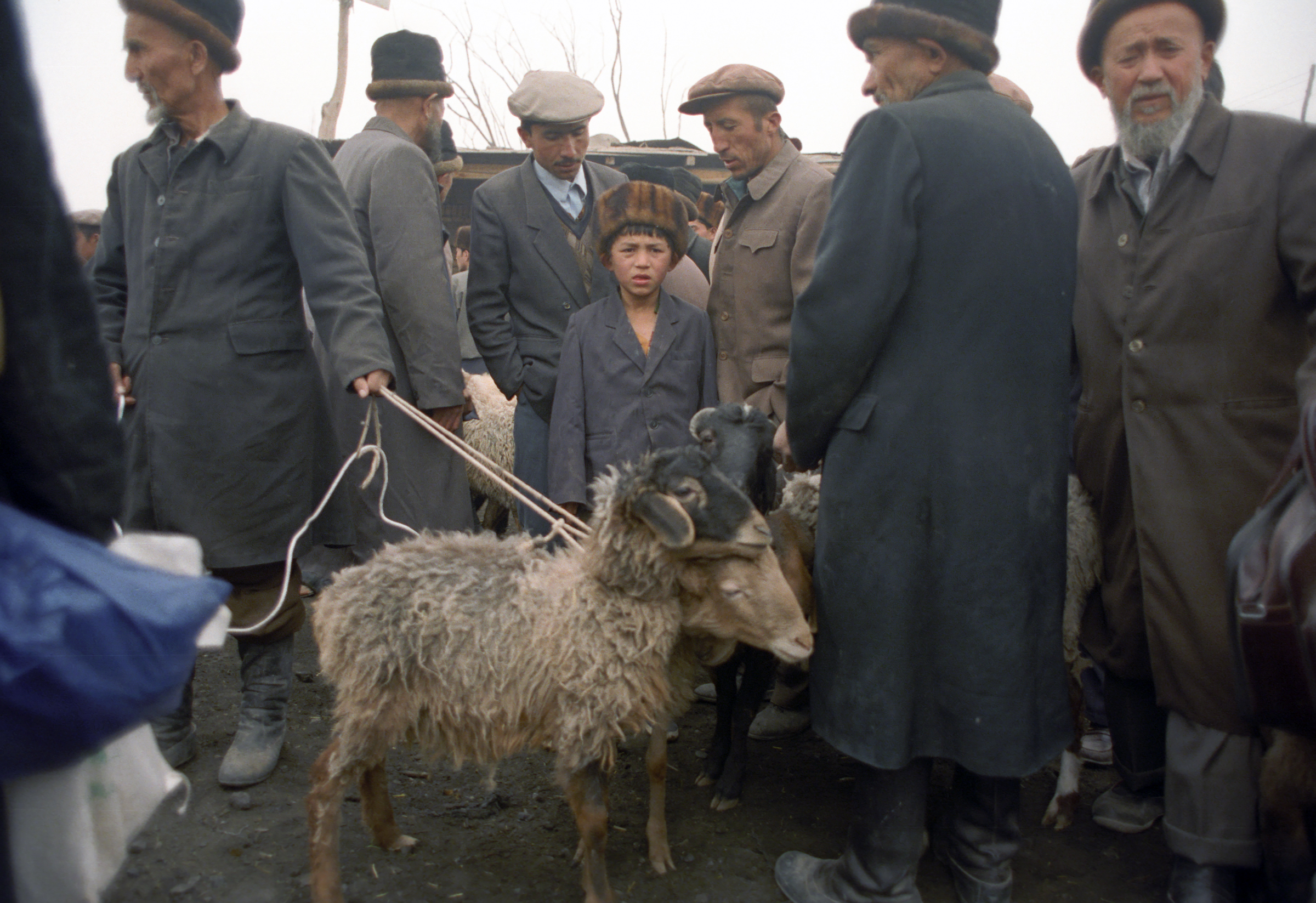 kashgar-445-01