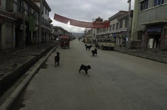 Downtown Sershul