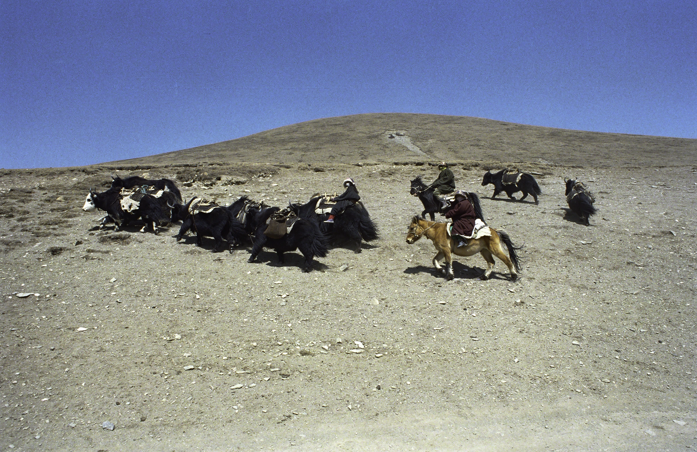 nomads.jpg